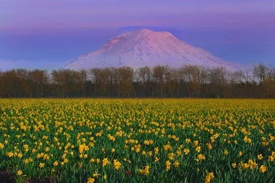 Truyện Hạnh phúc ở đâu - Truyện Cổ Tích