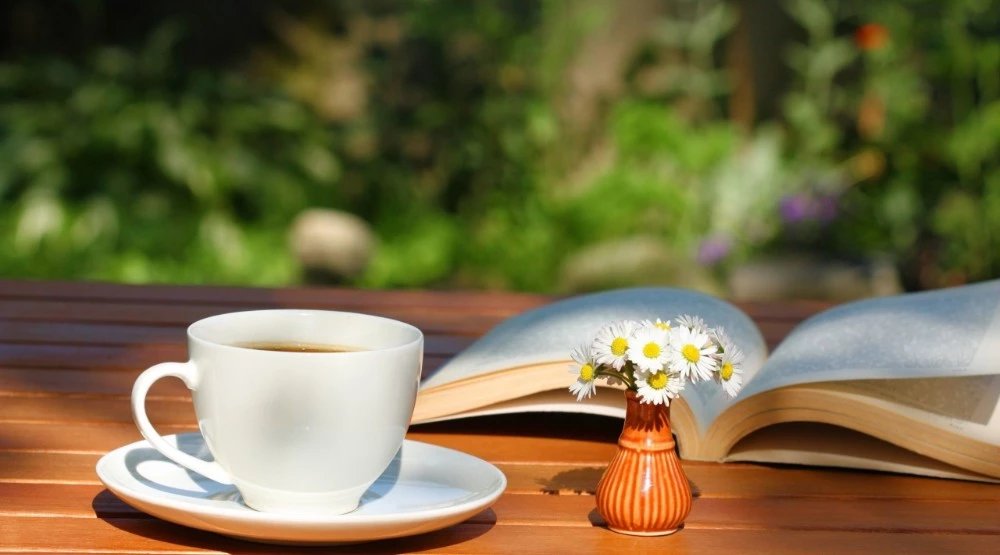 Truyện Hãy bế em ra khỏi cuộc đời anh! - Truyện Cổ Tích