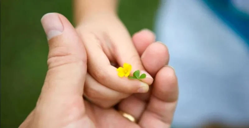 Truyện Hãy cho trước khi nhận - Truyện Cổ Tích