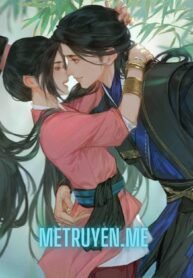 Truyện Hoan Hỉ Oan Gia - Ô Ngang Vi Vương