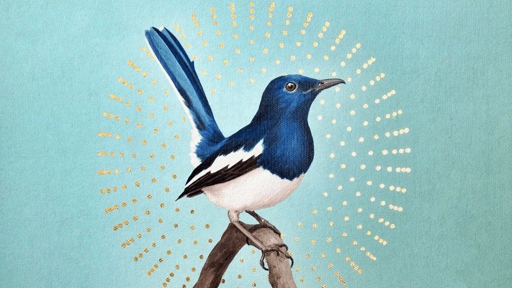 Truyện Học như cuốc kêu mùa hè - Truyện Cổ Tích