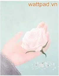 Truyện Hôn Nhân Bi Kịch - Trầm Mộng Phi Tiên