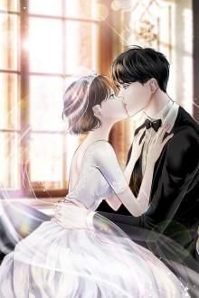 Truyện Hôn Nhân Tan Vỡ: Lệ Tổng Cầu Ngược Nhẹ Một Chút - Chi Lục