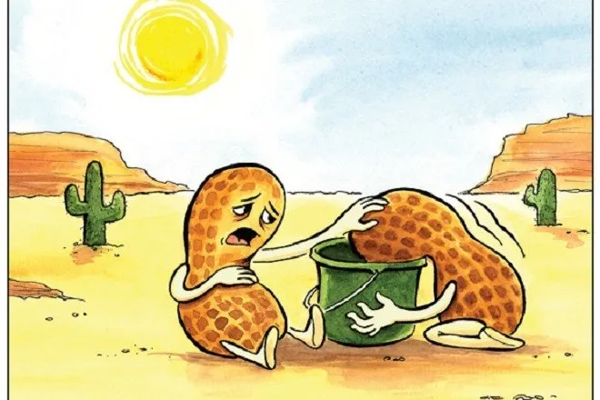 Truyện Khôn ra - Truyện Cổ Tích