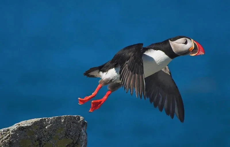 Truyện Không ai sánh được với anh… - Truyện Cổ Tích