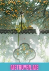 Truyện Mẹ Kế - Kính Trung Hoa