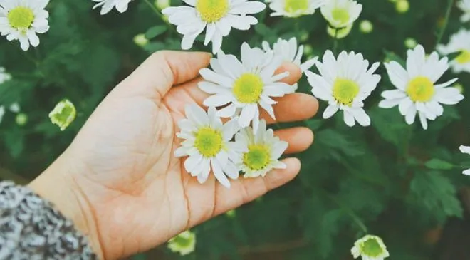 Truyện Mọi thứ rồi cũng sẽ qua - Truyện Cổ Tích