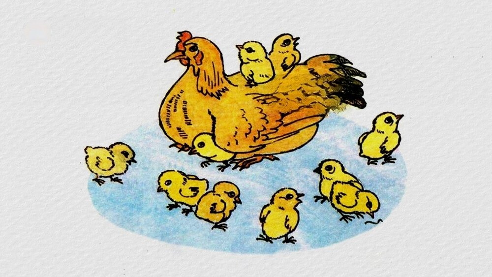 Truyện Một câu trả lời - Truyện Cổ Tích