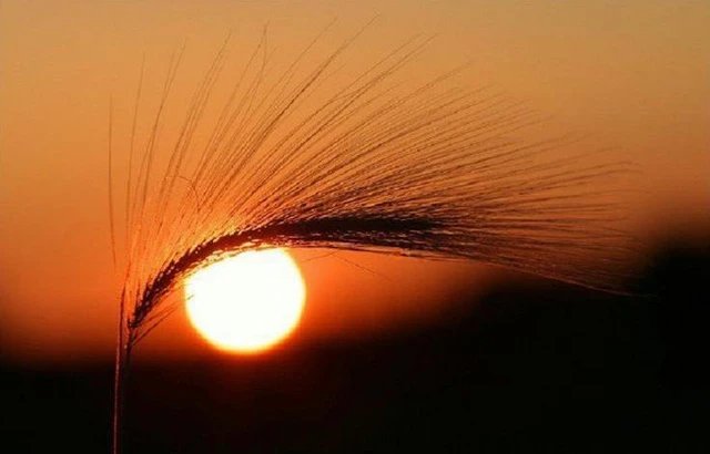 Truyện Ngày mai tươi đẹp - Truyện Cổ Tích