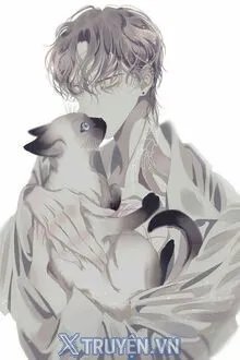 Truyện Nhà Bây Giờ Cũng Xuyên Không? - Ta Thích Thôi