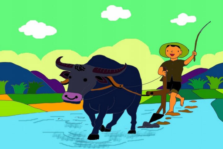 Truyện Nhà thông thái và người nông dân - Truyện Cổ Tích