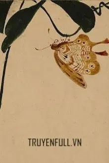 Truyện Những Câu Chuyện Được Kể Bởi Một Kẻ Dở Hơi - PemDan