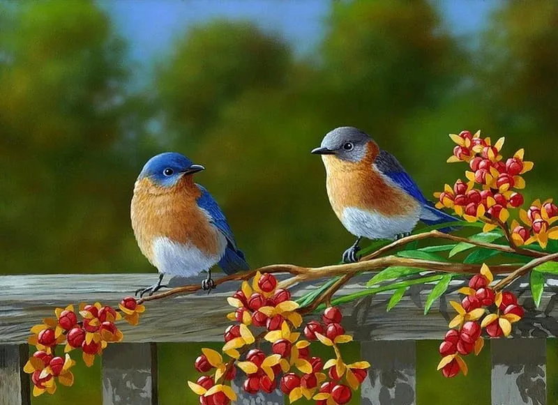 Truyện Những giá trị trong cuộc sống - Truyện Cổ Tích