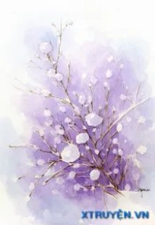 Truyện Nữ Phụ Thuần Ái Văn - Hoa Mộc Nhu