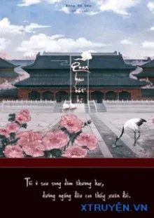 Truyện Quan Hạc Bút Ký - Nàng và Đèn