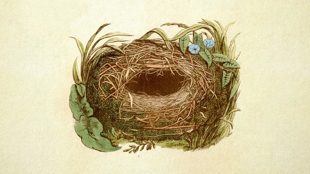 Truyện Sáo, Sẻ và Chích Bông - Truyện Cổ Tích