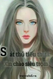 Truyện Sát Thủ Tiểu Thư 1: Xin Chào Siêu Trộm - Lâm Hạ Nhi