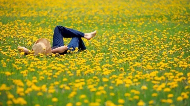 Truyện Sẽ luôn tìm được cách - Truyện Cổ Tích