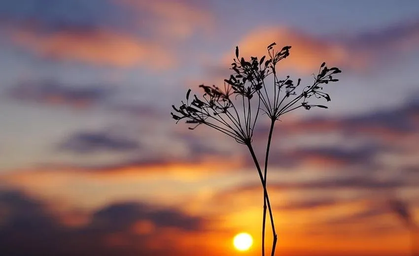 Truyện Sống và chết - Truyện Cổ Tích