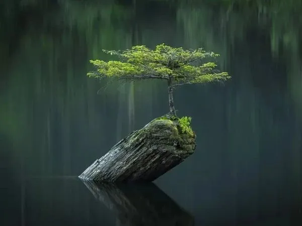 Truyện Sự bình yên - Truyện Cổ Tích