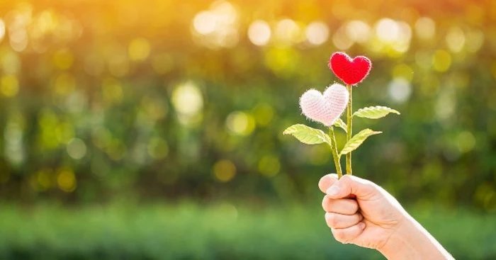 Truyện Sự yêu thương dẫn đường - Truyện Cổ Tích