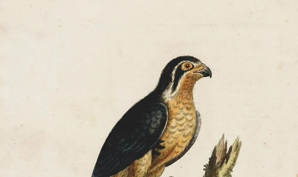 Truyện Sức mạnh của niềm tin - Truyện Cổ Tích