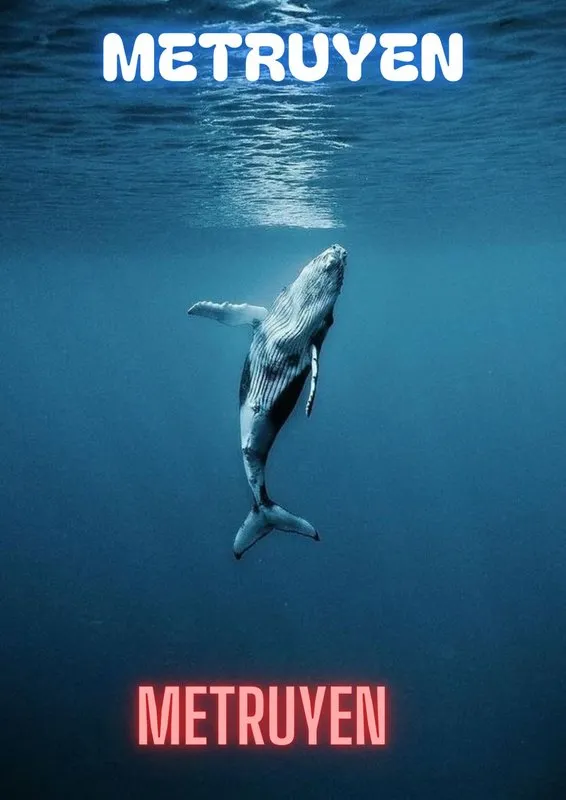 Truyện Ta Nắm Tay Nhau Giữa Biển Cát Trắng - Hạnh Hạnh Phúc Phúc