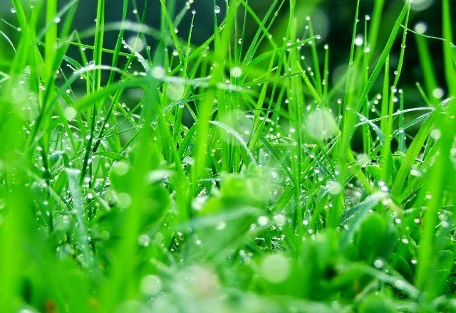 Truyện Tan vỡ hoặc tỏa sáng - Truyện Cổ Tích