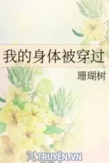 Truyện Thân Thể Tôi Bị Xuyên Qua - San Hô Thụ
