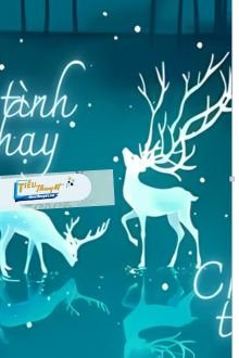 Truyện Theo Tình Tình Chạy, Chạy Tình Tình Theo - H&uacute;y