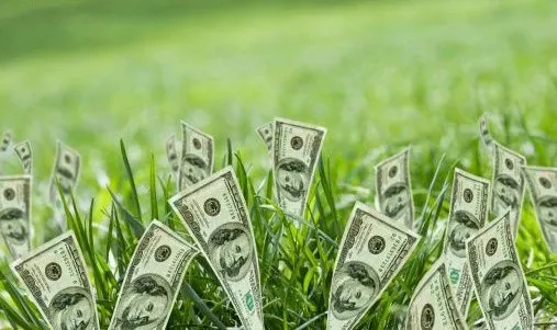 Truyện Thưa cô, cô giàu có phải không ạ? - Truyện Cổ Tích