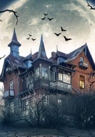 Truyện 1. Tiểu Thuyết Gia Hoàn Hảo - Heo con