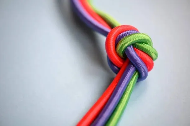 Truyện Tin và không tin - Truyện Cổ Tích