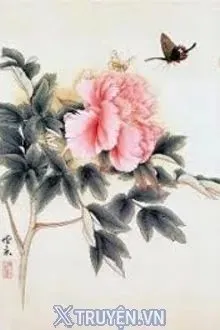 Truyện Tình Mẫu Đơn - Lisa See