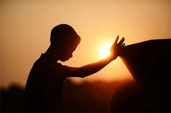 Truyện Tình yêu tạo nên lẽ sống - Truyện Cổ Tích