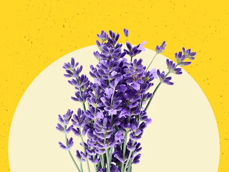 Truyện Tôi yêu - Truyện Cổ Tích