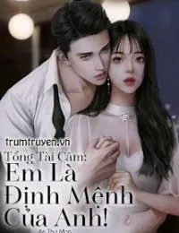 Truyện Tổng Tài Câm: Em Là Định Mệnh Của Anh - An Thư Mạn - An Thư Mạn