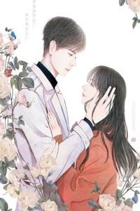 Truyện Truyện Vợ Cũ Thật Quyến Rũ - Nguyễn Băng Trâm - SS