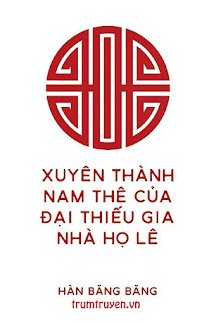 Truyện Xuyên Thành Nam Thê Của Đại Thiếu Gia Nhà Họ Lê - Hàn Băng Băng